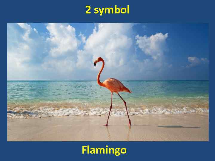 2 symbol Flamingo 