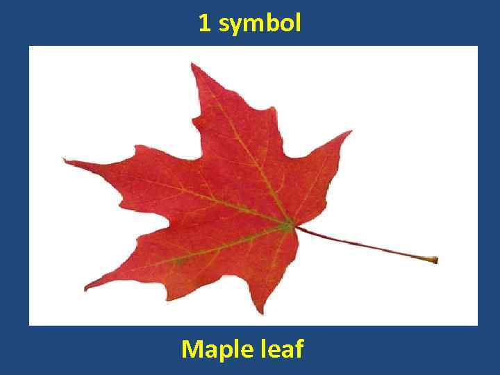 1 symbol Maple leaf 
