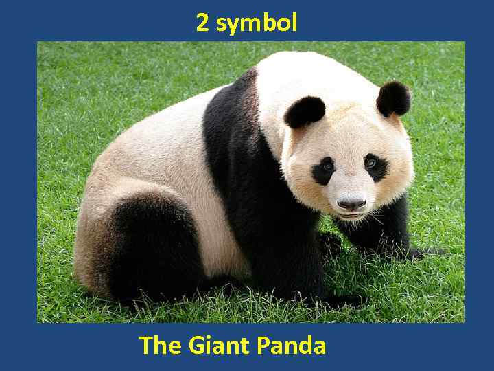 2 symbol The Giant Panda 