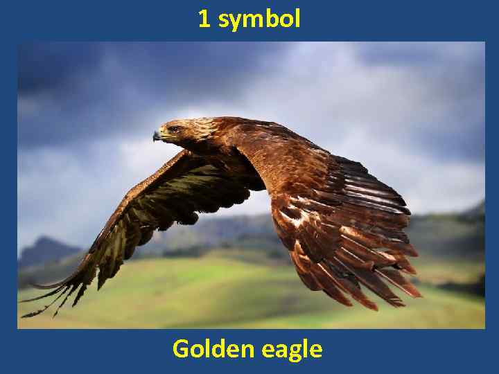 1 symbol Golden eagle 