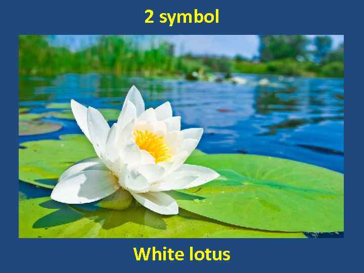 2 symbol White lotus 