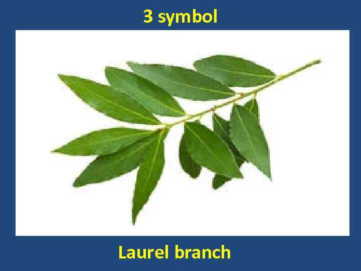 3 symbol Laurel branch 
