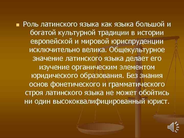 n Роль латинского языка как языка большой и богатой культурной традиции в истории европейской