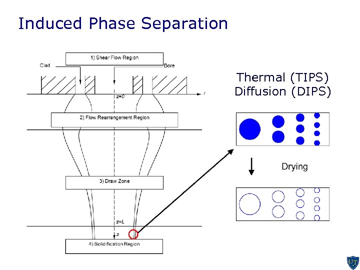 Induced Phase Separation Thermal (TIPS) Diffusion (DIPS) Hypothesis: Concentration gradient predictor of pore size