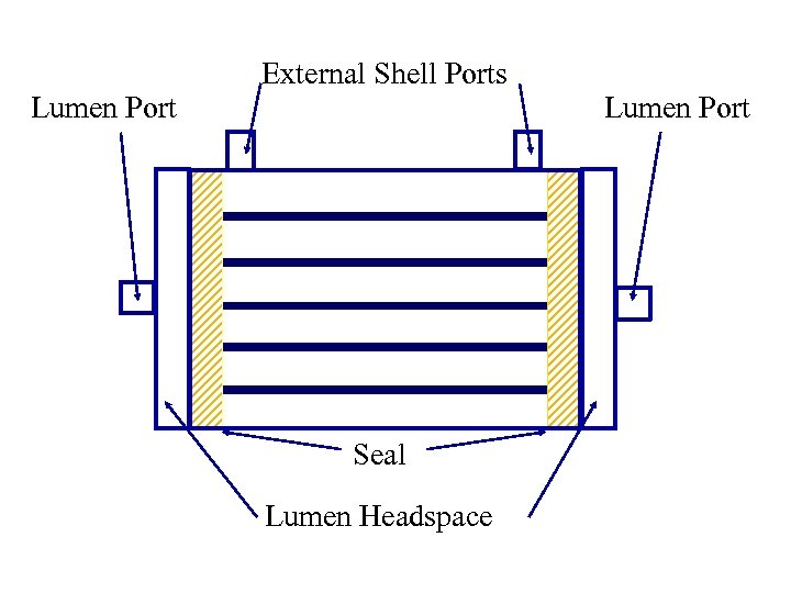 Lumen Port External Shell Ports Seal Lumen Headspace Lumen Port 