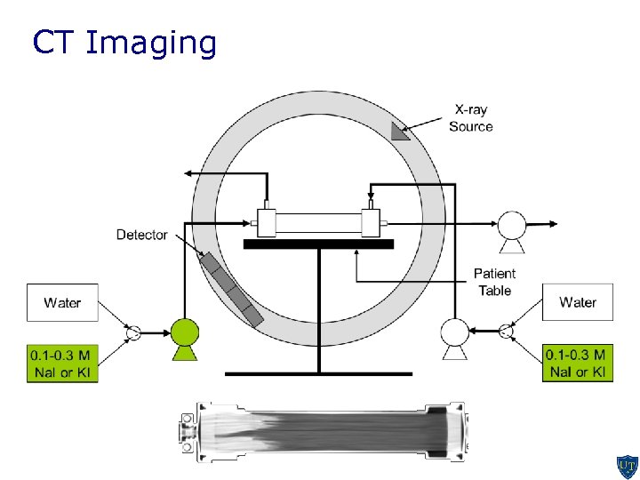 CT Imaging 