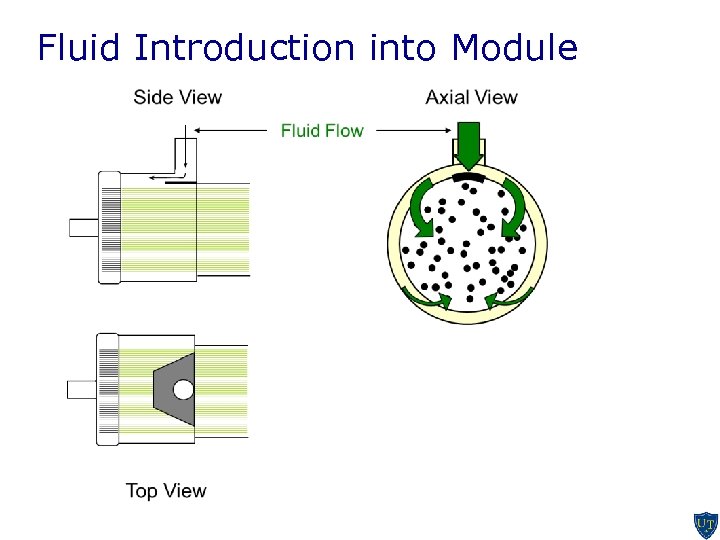 Fluid Introduction into Module 