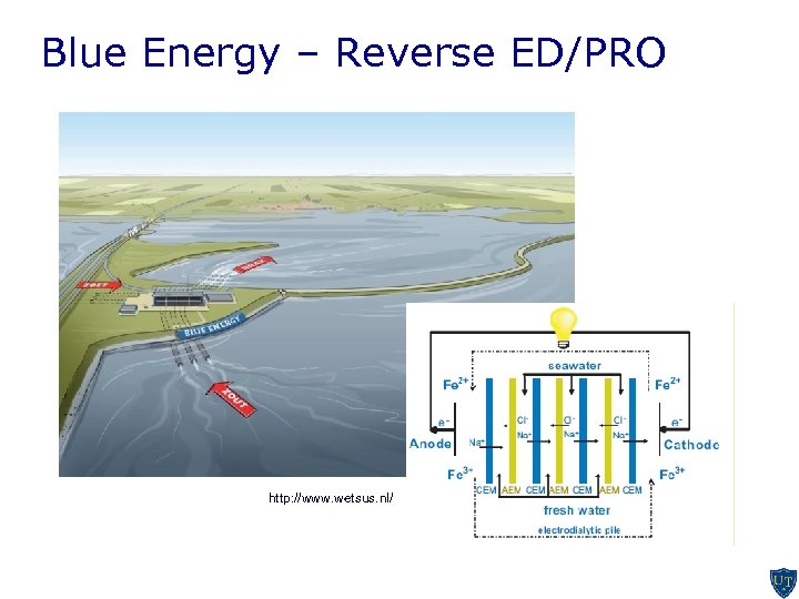 Blue Energy – Reverse ED/PRO http: //www. wetsus. nl/ 