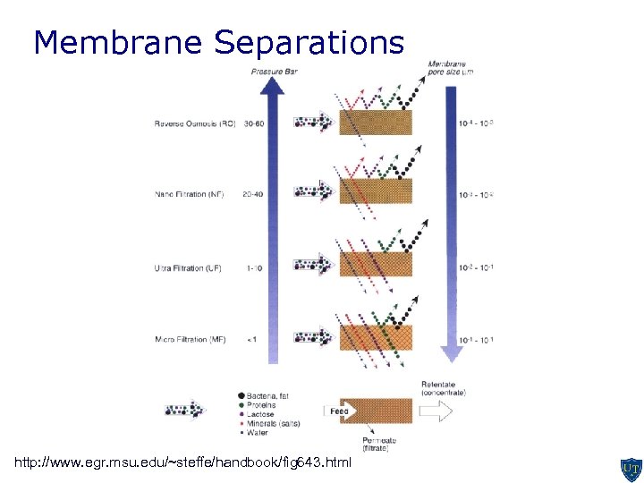 Membrane Separations http: //www. egr. msu. edu/~steffe/handbook/fig 643. html 