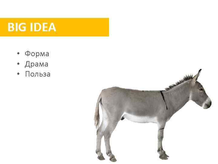 BIG IDEA • Форма • Драма • Польза 