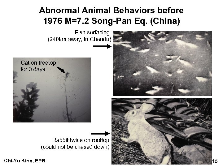 Abnormal Animal Behaviors before 1976 M=7. 2 Song-Pan Eq. (China) Fish surfacing (240 km