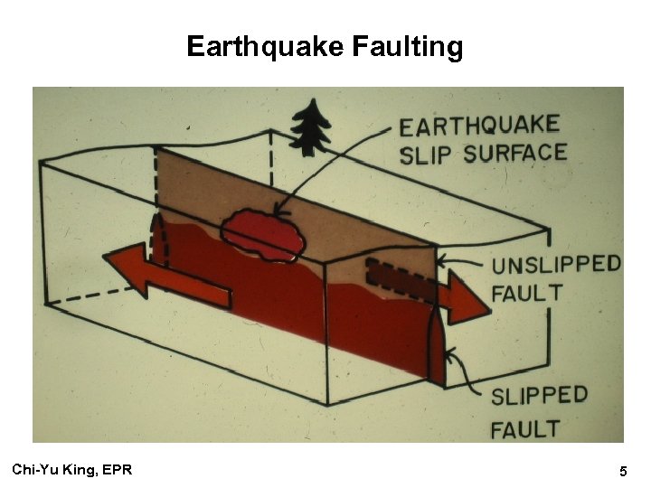 Earthquake Faulting Chi-Yu King, EPR 5 