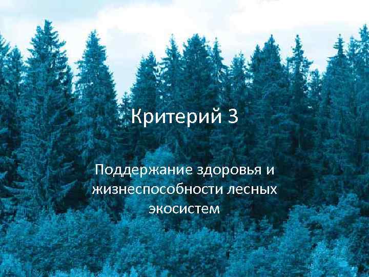 Критерий 3 Поддержание здоровья и жизнеспособности лесных экосистем 