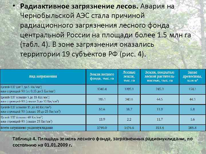  • Радиактивное загрязнение лесов. Авария на Чернобыльской АЭС стала причиной радиационного загрязнения лесного