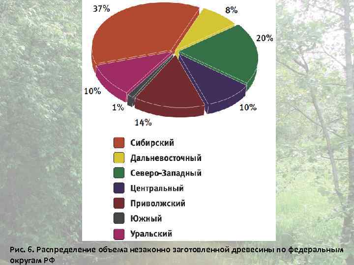 Рис. 6. Распределение объема незаконно заготовленной древесины по федеральным округам РФ 