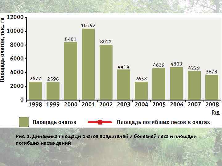 Рис. 1. Динамика площади очагов вредителей и болезней леса и площади погибших насаждений 