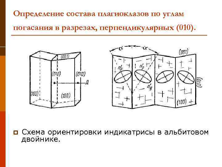 Определение состава плагиоклазов по углам погасания в разрезах, перпендикулярных (010). p Схема ориентировки индикатрисы