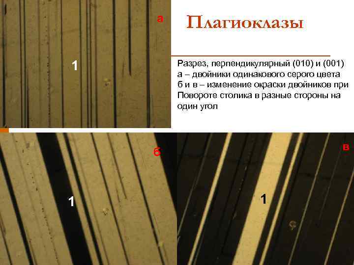 а 1 Плагиоклазы Разрез, перпендикулярный (010) и (001) а – двойники одинакового серого цвета