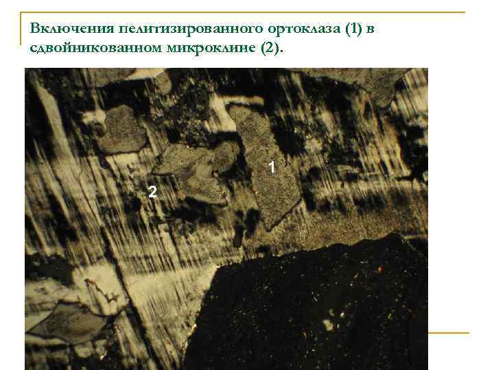 Включения пелитизированного ортоклаза (1) в сдвойникованном микроклине (2). 1 2 