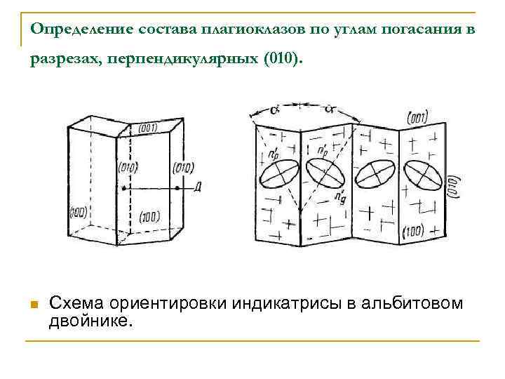 Определение состава плагиоклазов по углам погасания в разрезах, перпендикулярных (010). n Схема ориентировки индикатрисы