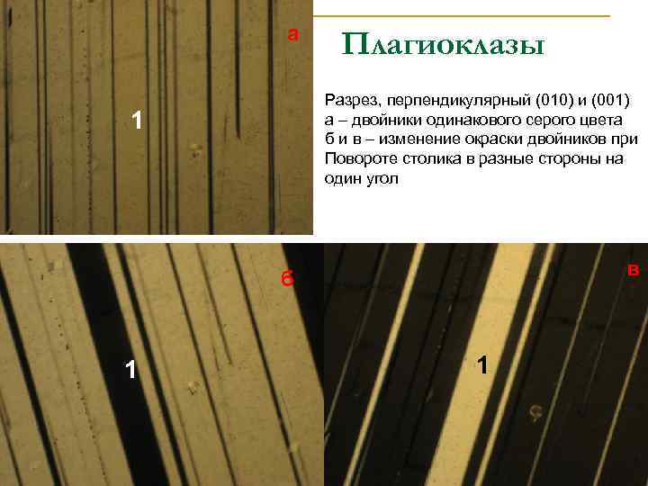 а Плагиоклазы Разрез, перпендикулярный (010) и (001) а – двойники одинакового серого цвета б