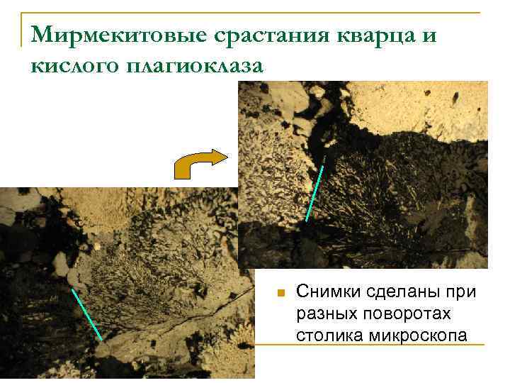 Мирмекитовые срастания кварца и кислого плагиоклаза n Снимки сделаны при разных поворотах столика микроскопа