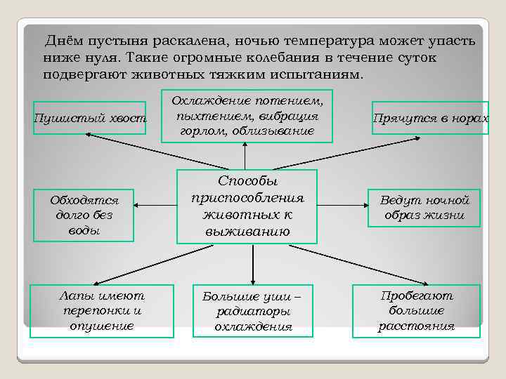 Днём пустыня раскалена, ночью температура может упасть ниже нуля. Такие огромные колебания в течение