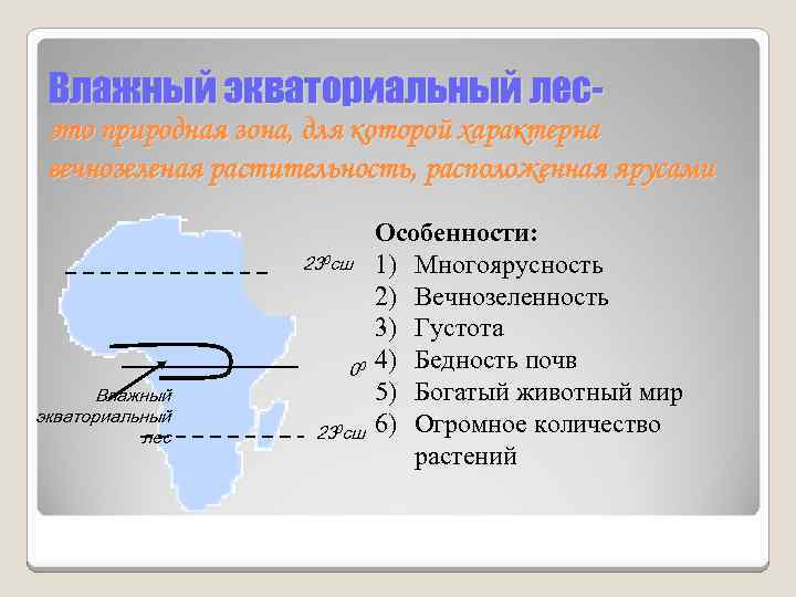 Влажный экваториальный лесэто природная зона, для которой характерна вечнозеленая растительность, расположенная ярусами 230 сш