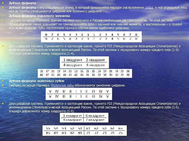  • • Зубная формула – это специальная схема, в которой фиксируется порядок расположения