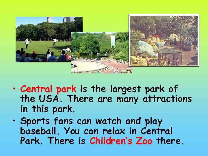  • Central park is the largest park of the USA. There are many