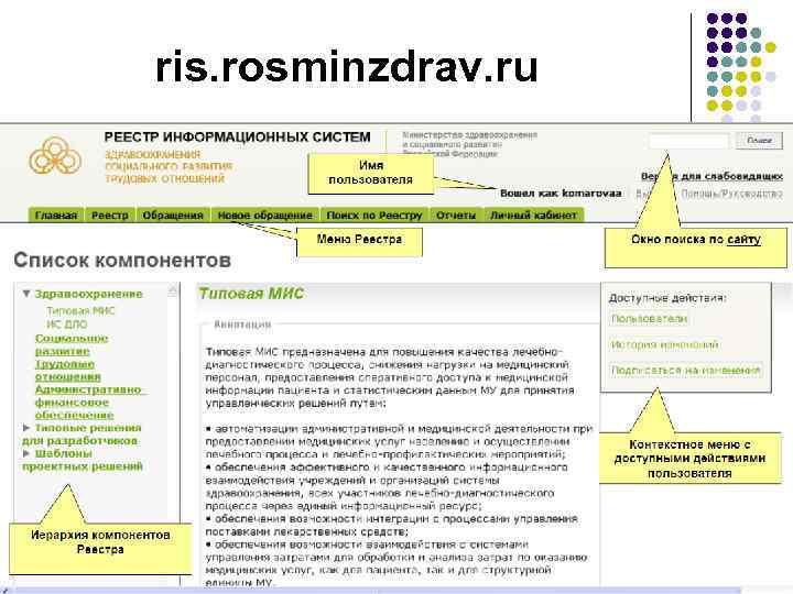 ris. rosminzdrav. ru 