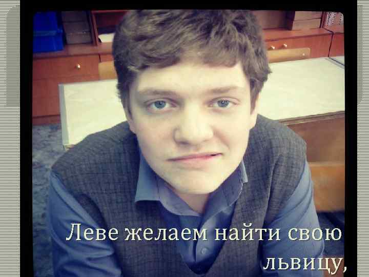 Леве желаем найти свою львицу, 