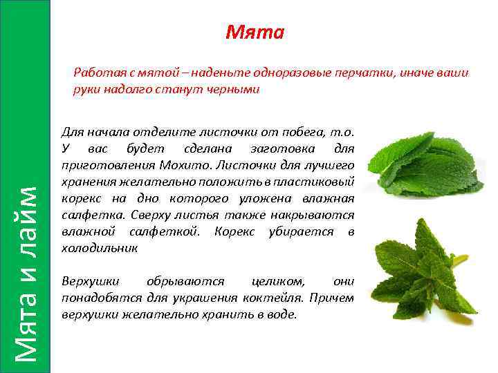 Мята и лайм Работая с мятой – наденьте одноразовые перчатки, иначе ваши руки надолго