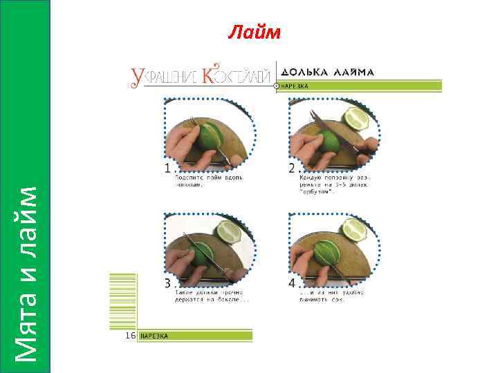 Мята и лайм Лайм 