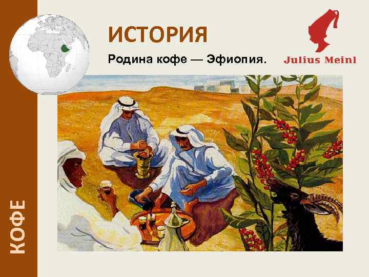 ИСТОРИЯ КОФЕ Родина кофе — Эфиопия. 