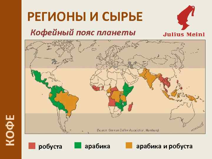 РЕГИОНЫ И СЫРЬЕ КОФЕ Кофейный пояс планеты робуста арабика и робуста 