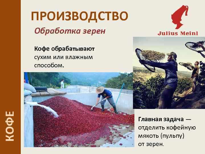 ПРОИЗВОДСТВО Обработка зерен КОФЕ Кофе обрабатывают сухим или влажным способом. Главная задача — отделить