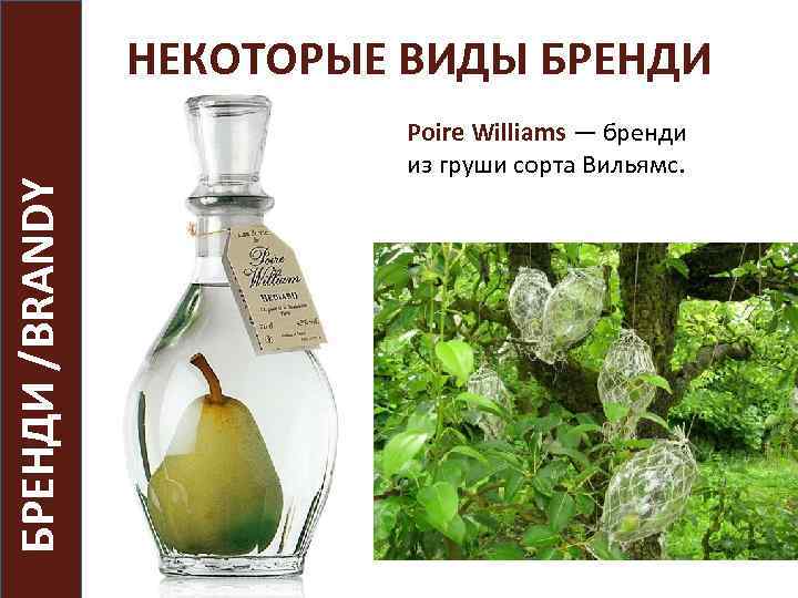 БРЕНДИ /BRANDY НЕКОТОРЫЕ ВИДЫ БРЕНДИ Poire Williams — бренди из груши сорта Вильямс. 