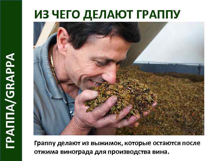 ГРАППА/GRAPPA ИЗ ЧЕГО ДЕЛАЮТ ГРАППУ Граппу делают из выжимок, которые остаются после отжима винограда