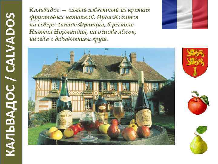  КАЛЬВАДОС / CALVADOS Кальвадос — самый известный из крепких фруктовых напитков. Производится на