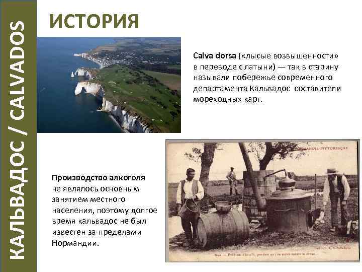 КАЛЬВАДОС / CALVADOS ИСТОРИЯ Calva dorsa ( «лысые возвышенности» в переводе с латыни)