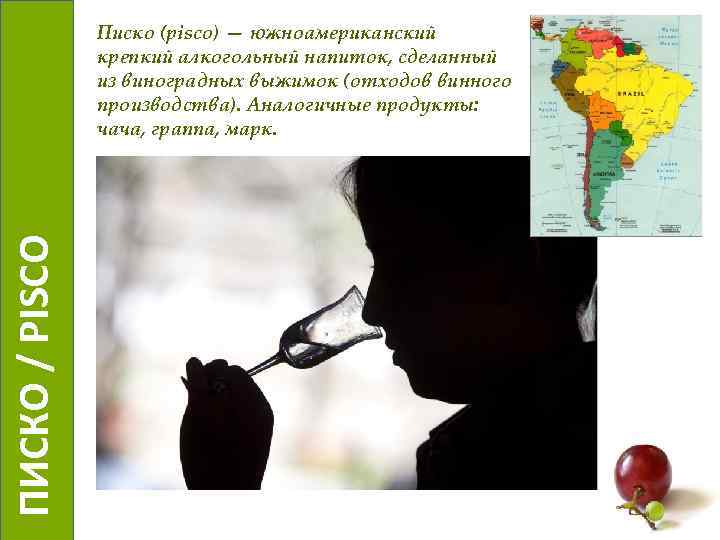  ПИСКО / PISCO Писко (pisco) — южноамериканский крепкий алкогольный напиток, сделанный из виноградных
