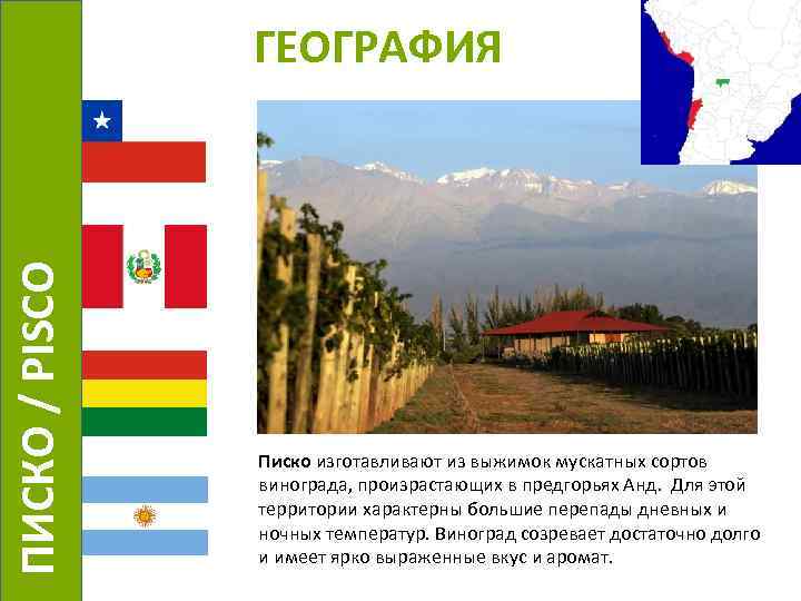  ПИСКО / PISCO ГЕОГРАФИЯ Писко изготавливают из выжимок мускатных сортов винограда, произрастающих в