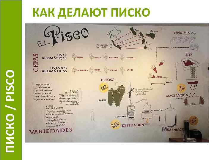  ПИСКО / PISCO КАК ДЕЛАЮТ ПИСКО 