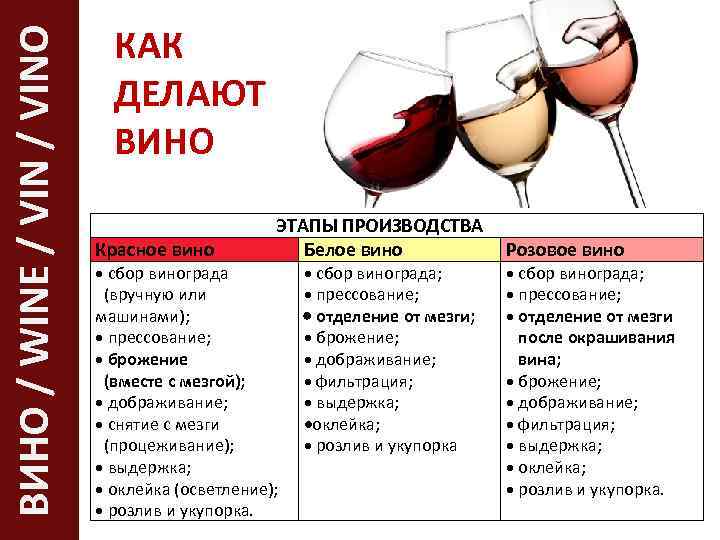 ВИНО / WINE / VINO КАК ДЕЛАЮТ ВИНО Красное вино ЭТАПЫ ПРОИЗВОДСТВА Белое вино