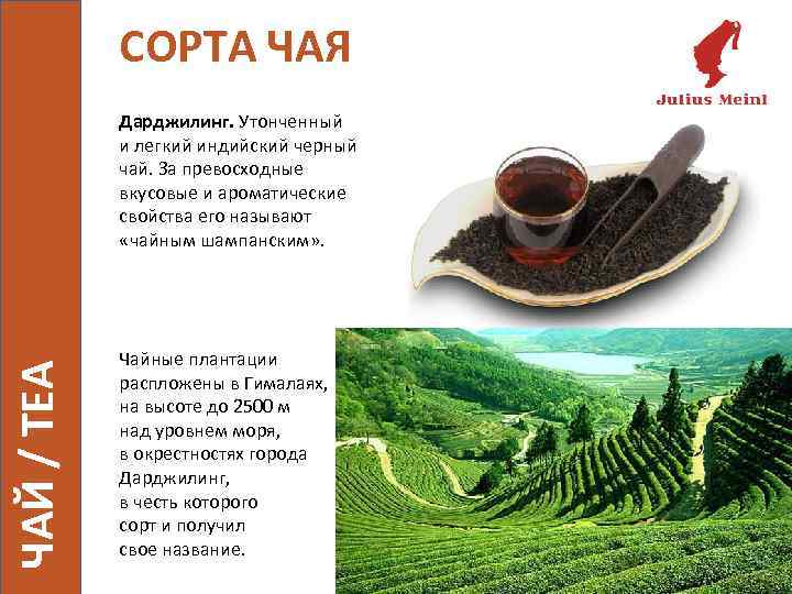 СОРТА ЧАЯ ЧАЙ / TEA Дарджилинг. Утонченный и легкий индийский черный чай. За превосходные