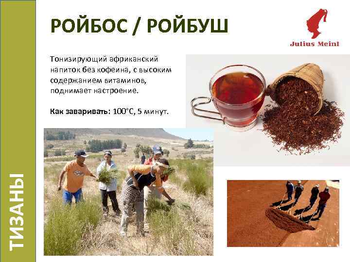 РОЙБОС / РОЙБУШ Тонизирующий африканский напиток без кофеина, с высоким содержанием витаминов, поднимает настроение.