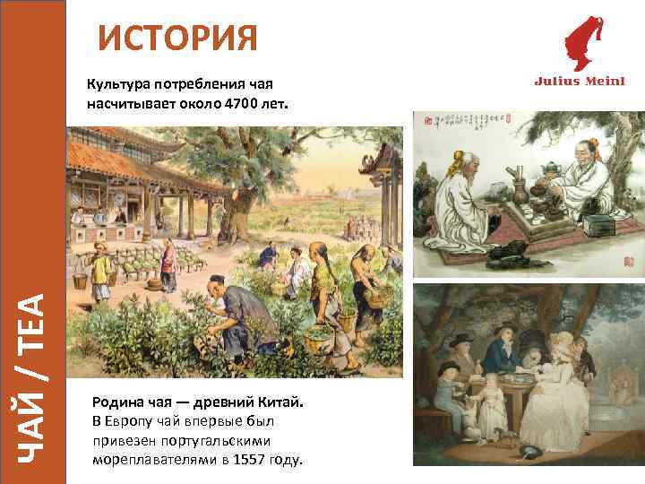 ИСТОРИЯ ЧАЙ / TEA Культура потребления чая насчитывает около 4700 лет. Родина чая —