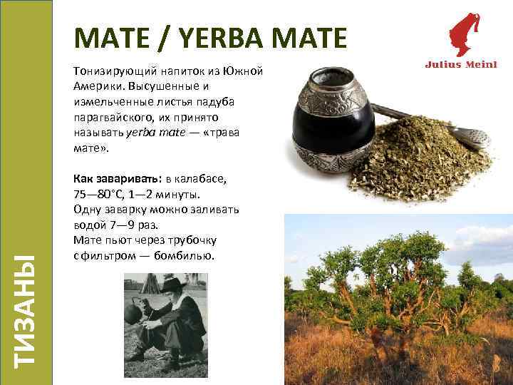 МАТЕ / YERBA MATE ТИЗАНЫ Тонизирующий напиток из Южной Америки. Высушенные и измельченные листья