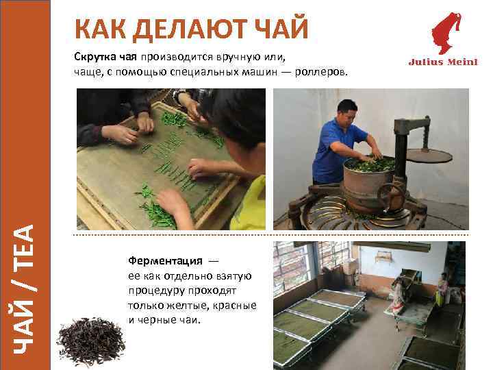 КАК ДЕЛАЮТ ЧАЙ / TEA Скрутка чая производится вручную или, чаще, с помощью специальных